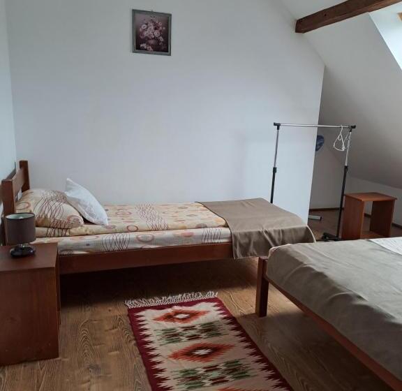 דירה בת חדר שינה 1 עם נוף, Pensiunea Rose