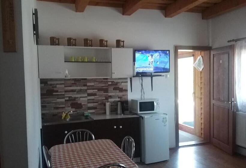 דירה בת חדר שינה 1 עם נוף, Pensiunea Rose