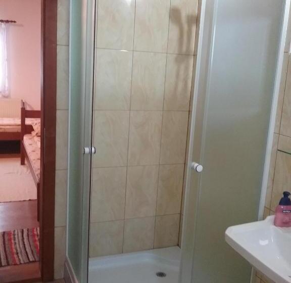 דירה בת חדר שינה 1 עם נוף, Pensiunea Rose