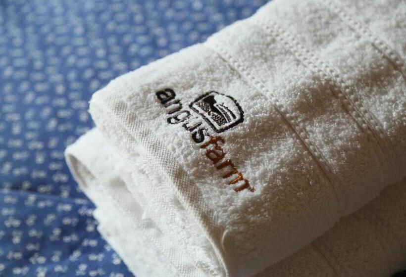 Номер Стандарт, Pension Angusfarm