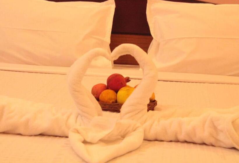 デラックスルーム, Chettinaadu Narayana Inn