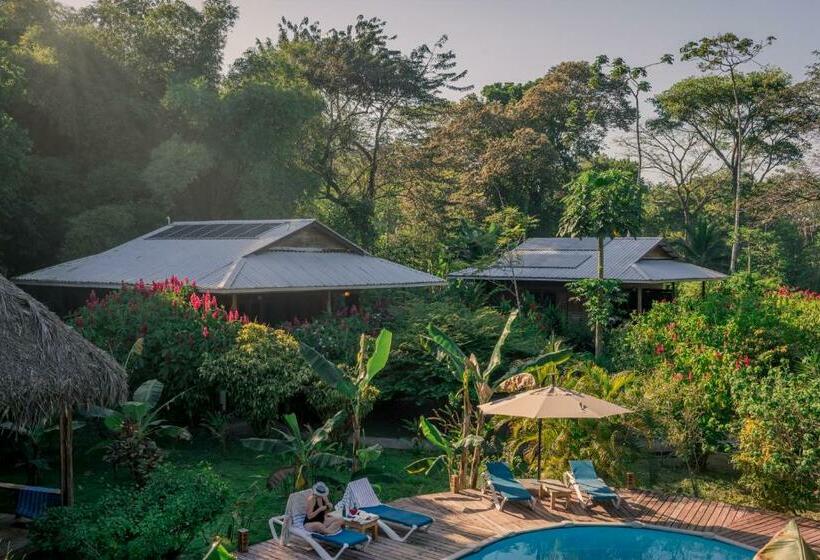 스탠다드 룸 킹사이즈 침대, The Hummingbird