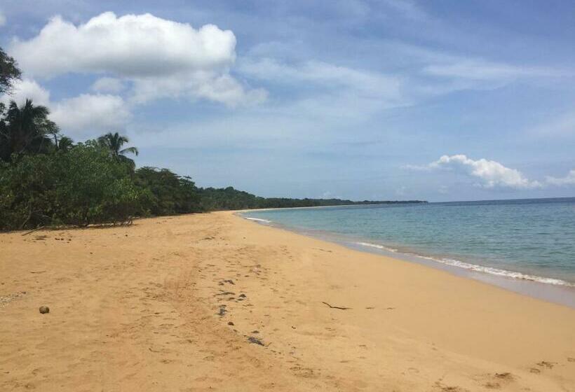 스탠다드 룸 킹사이즈 침대, The Hummingbird