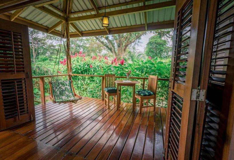 스탠다드 룸 킹사이즈 침대, The Hummingbird