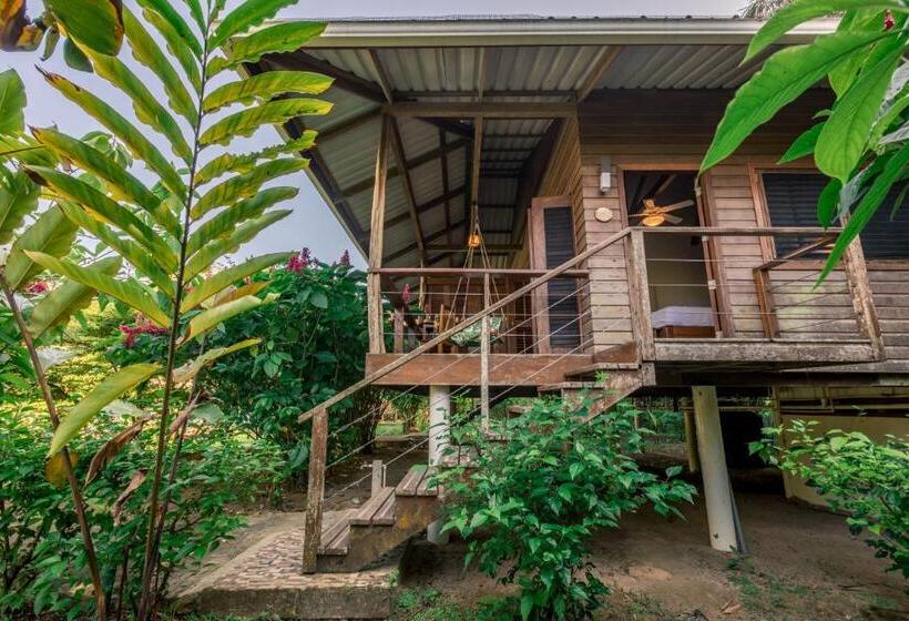 스탠다드 룸 킹사이즈 침대, The Hummingbird