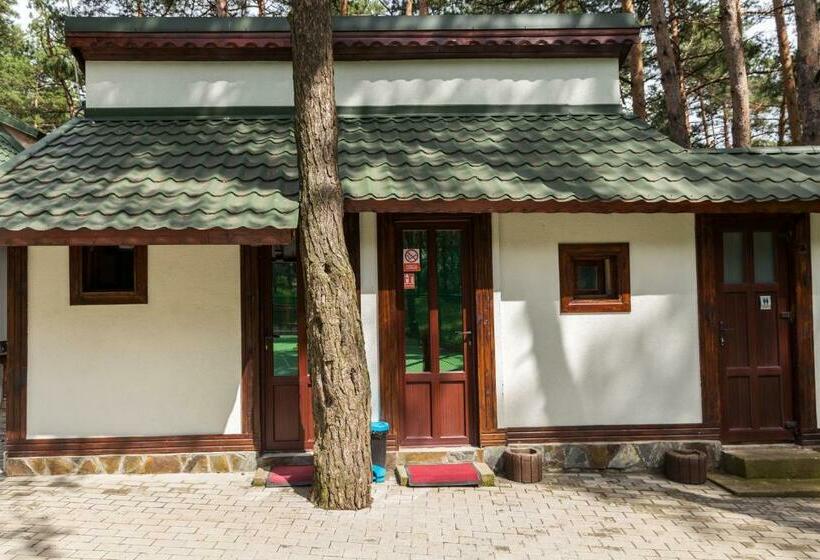 스탠다드 룸 공동 욕실, Complex Parc Pini Moinesti