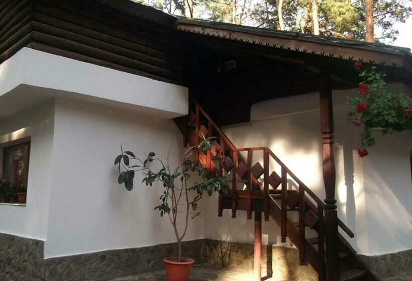 带2个卧室的套房, Complex Parc Pini Moinesti