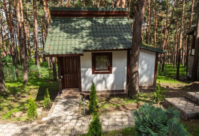 标准间, Complex Parc Pini Moinesti