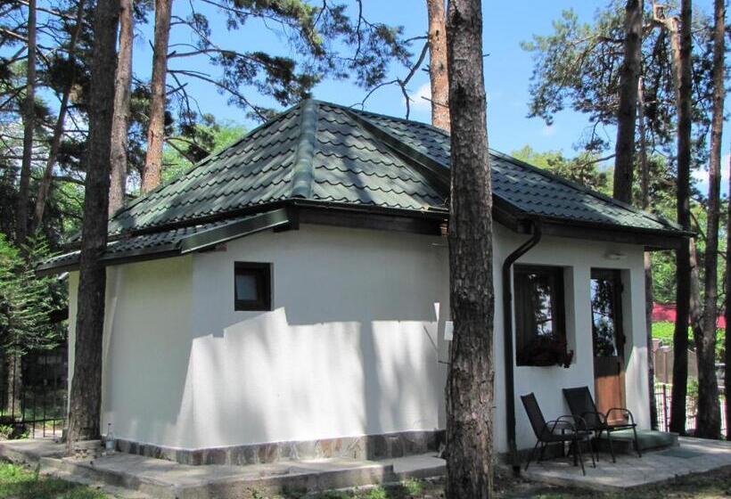 带花园景观的标准三人间, Complex Parc Pini Moinesti