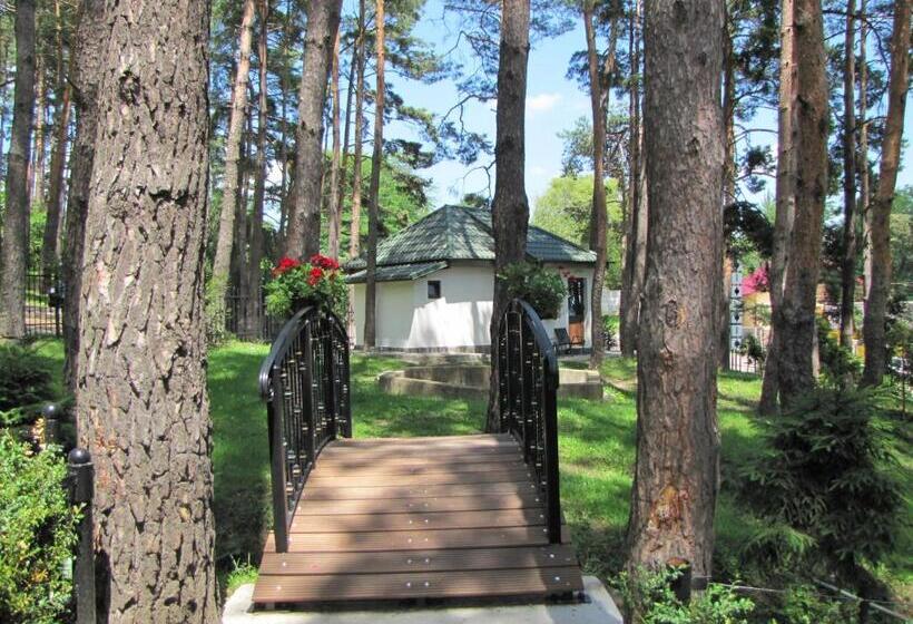 带花园景观的标准三人间, Complex Parc Pini Moinesti