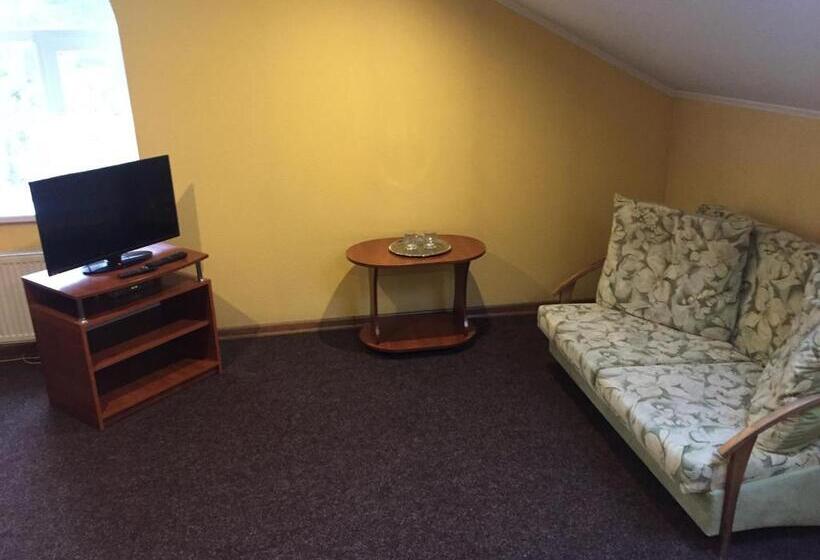 스탠다드 룸, Podilskii Dvir