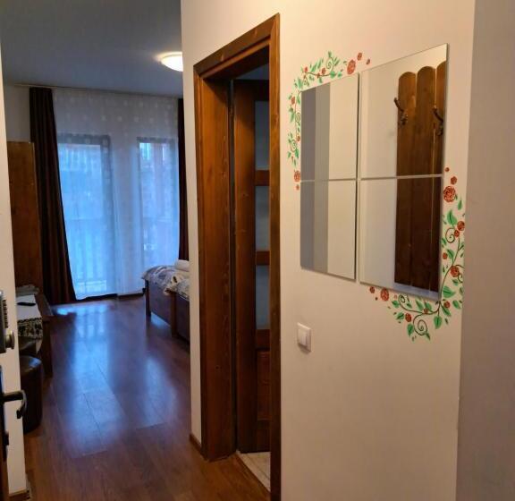 Номер Стандарт, Casa Paduricea