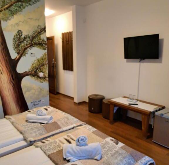 Номер Стандарт, Casa Paduricea