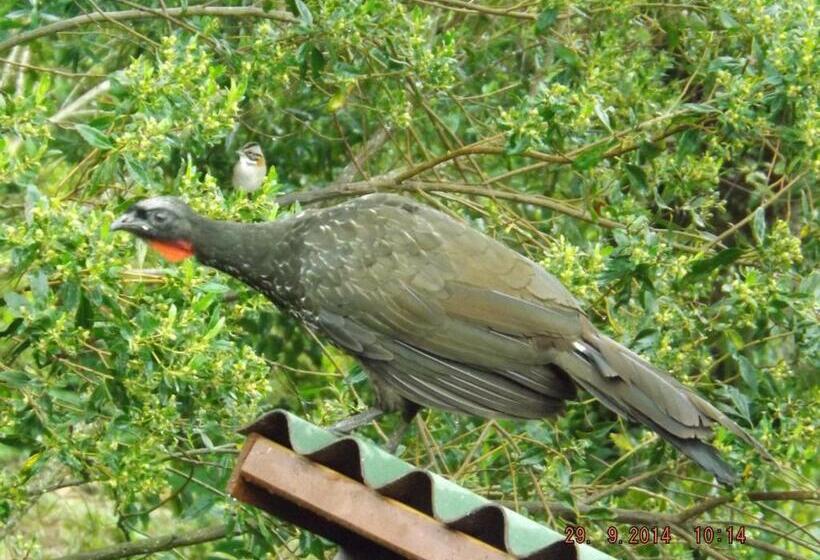 バルコニー付スイート, Holo Pousada Vale Encantado