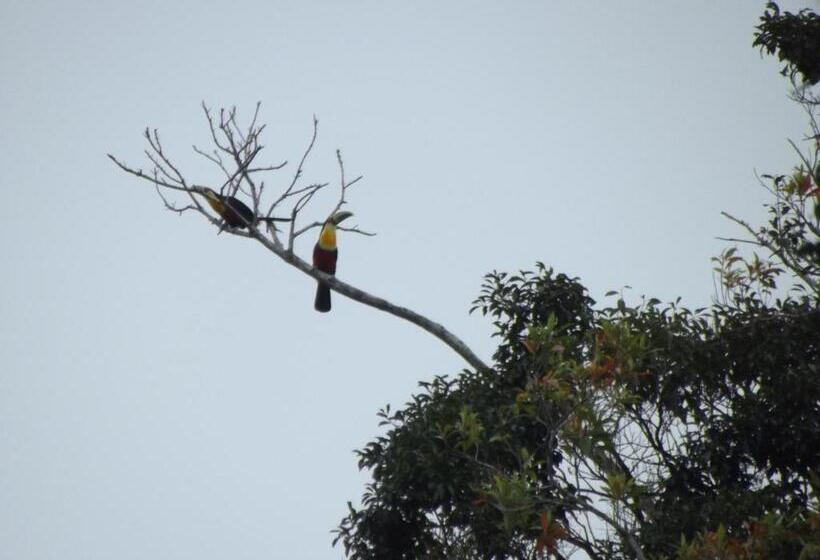 メゾネットスイート, Holo Pousada Vale Encantado