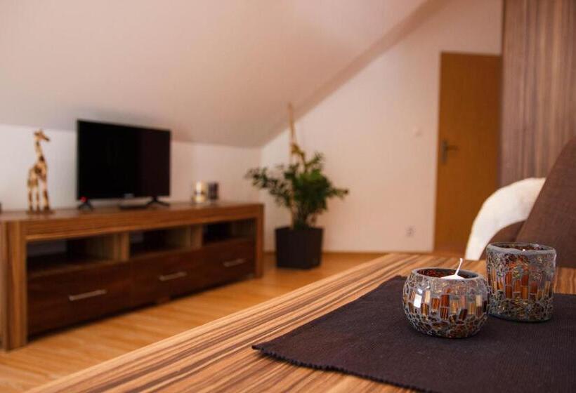 חדר דלוקס לשלושה, Penzion Conti