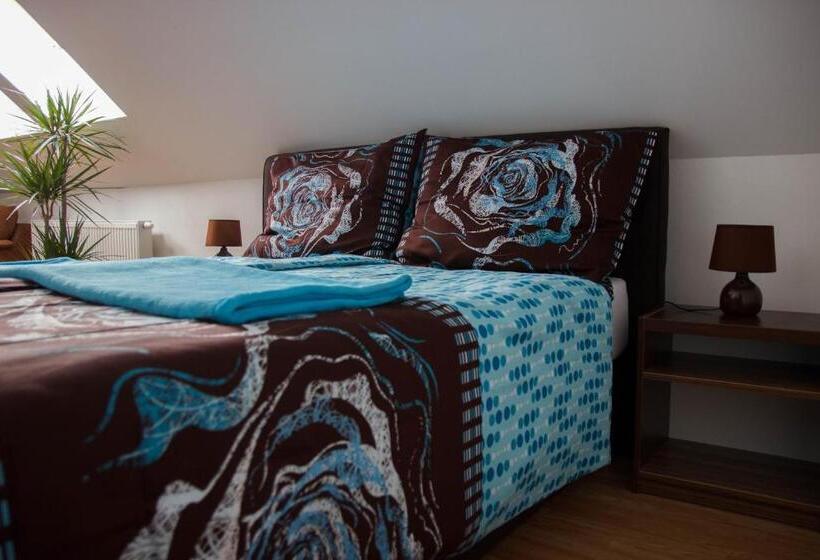 غرفة قياسية, Penzion Conti