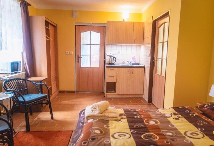 身障者適用スタンダードルーム, Penzion Samorost