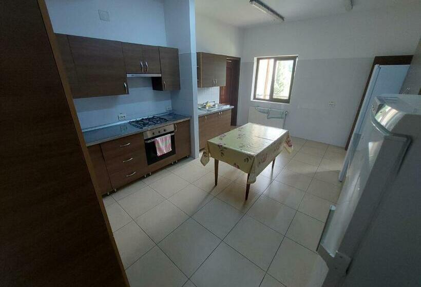 スタンダードルーム, Pensiunea Ily