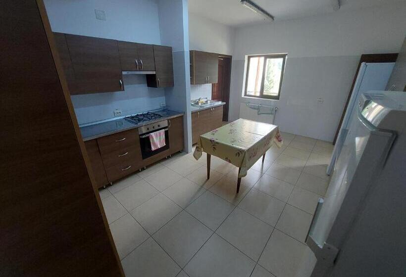 ビラホテル1ベッドルーム, Pensiunea Ily