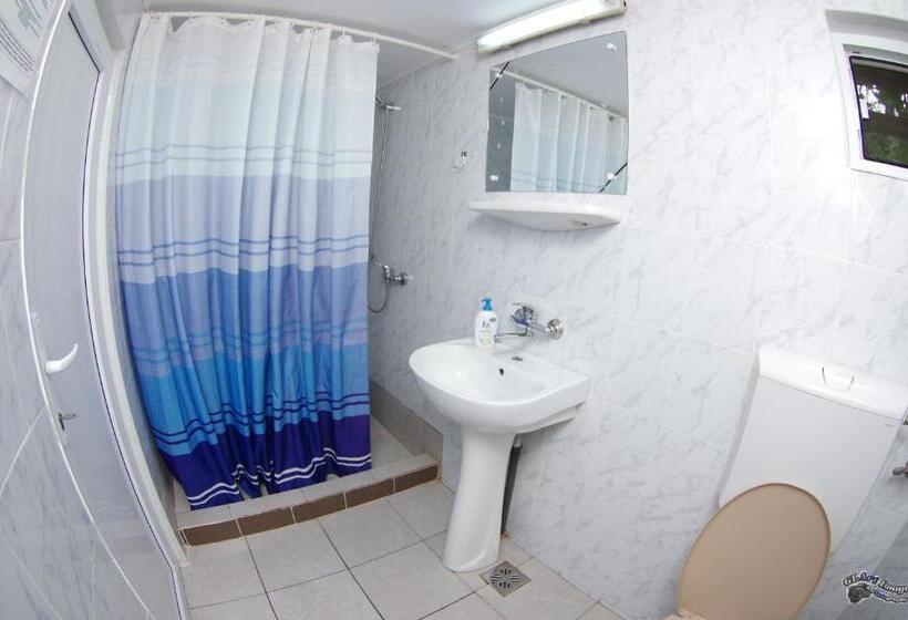 غرفة قياسية, Pensiunea Irina