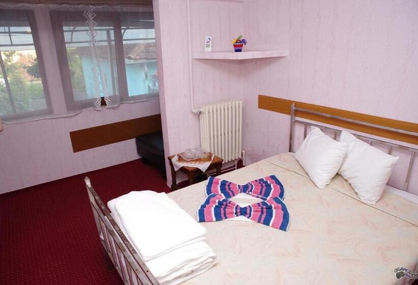 غرفة قياسية, Pensiunea Irina