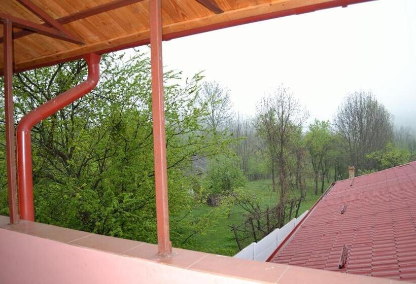 חדר משפחתי, Pensiunea Soreanca