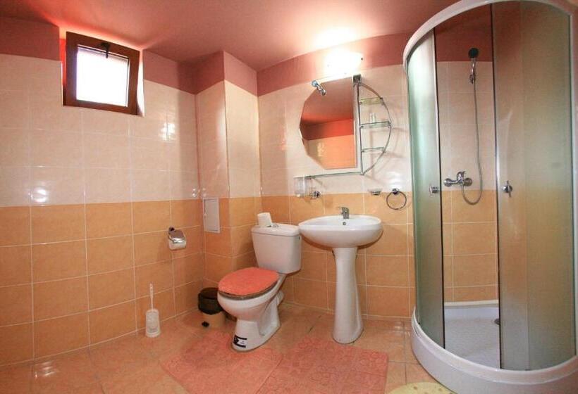 חדר סטנדרט עם מרפסת, Pensiunea Soreanca