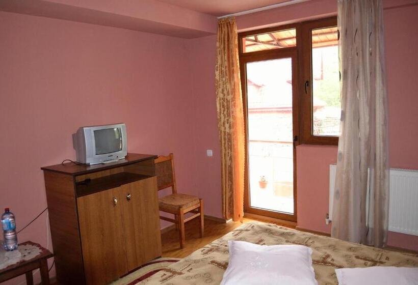 חדר סטנדרט עם מרפסת, Pensiunea Soreanca