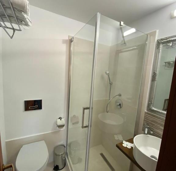 标准间, Pensiunea Teodora