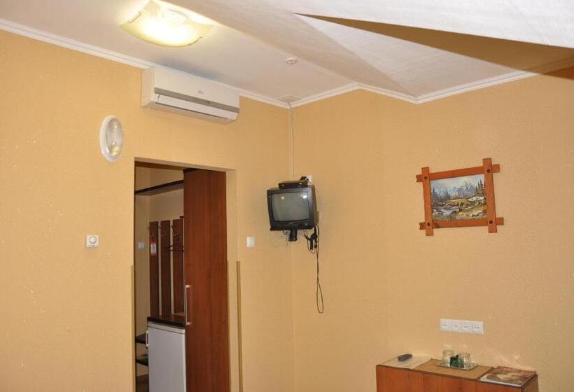 חדר קומפורט יחיד, Focus