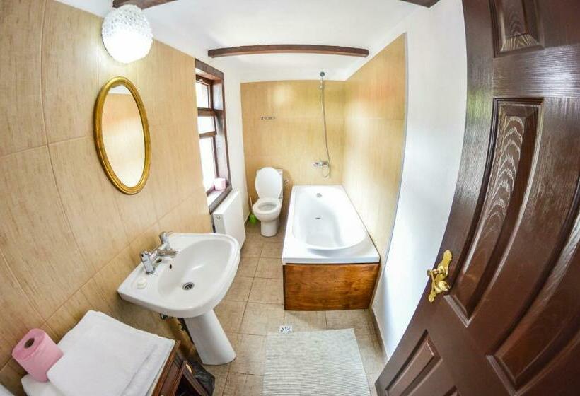 Classic room with balcony, Casa Veche