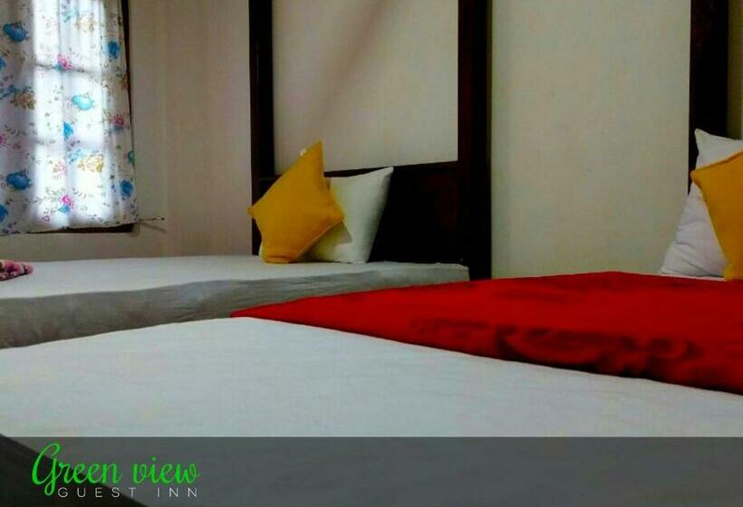 Habitació Estàndard Llit King, Green View Guest Inn