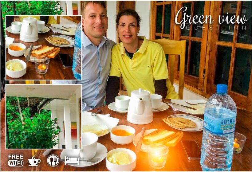 Habitació Estàndard Llit King, Green View Guest Inn