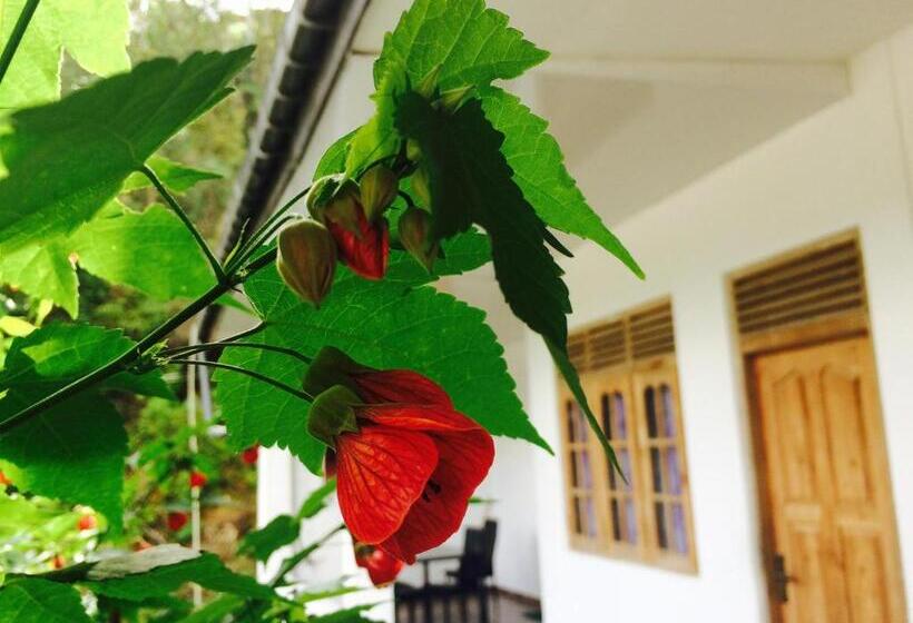 Habitació Estàndard Llit King, Green View Guest Inn