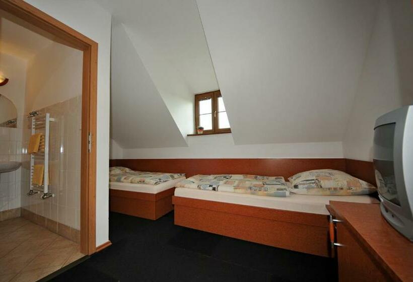 غرفة قياسية, Penzion Praktik Krumlov