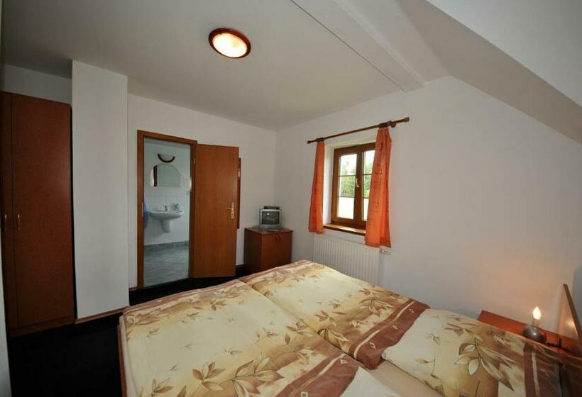غرفة قياسية, Penzion Praktik Krumlov