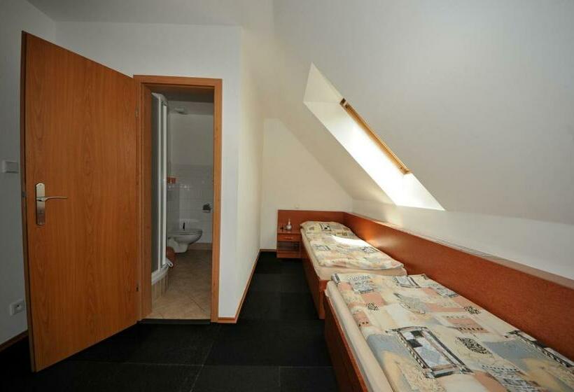غرفة قياسية, Penzion Praktik Krumlov