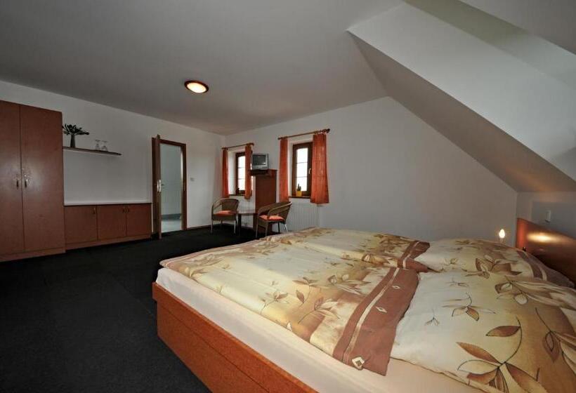 غرفة قياسية, Penzion Praktik Krumlov