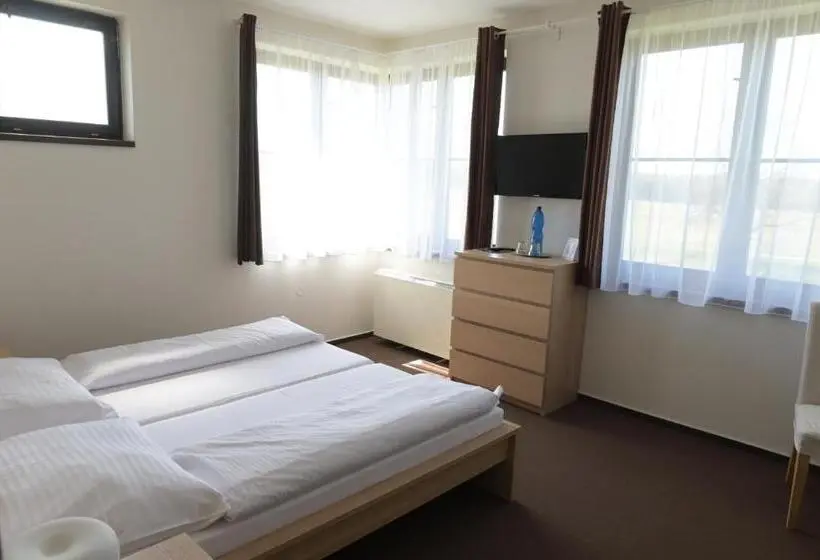 スタンダードルーム, Penzion švýcarský Dům
