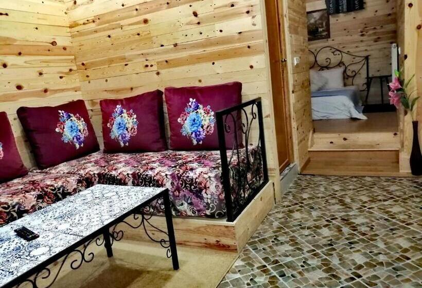 اتاق استاندارد, Tamanoucht