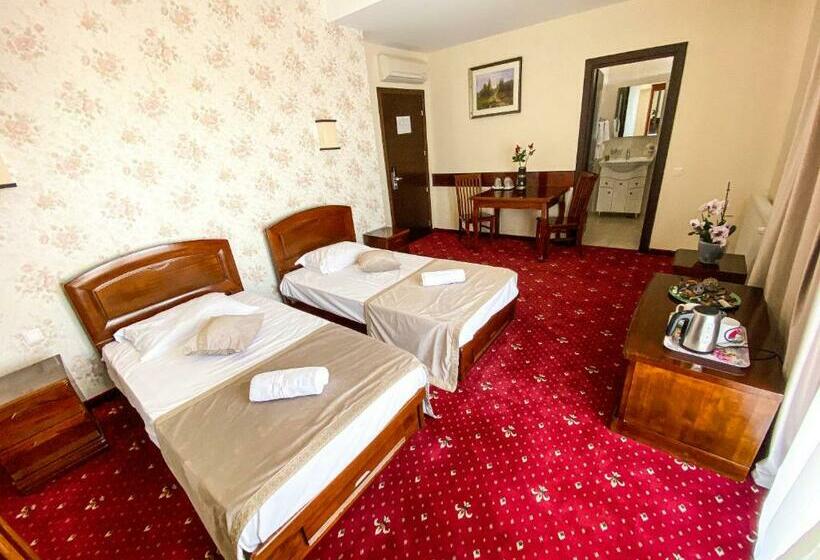 스탠다드 룸, Pensiunea De Vis