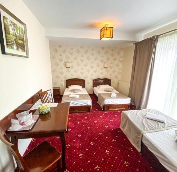 Трехместный Номер Deluxe, Pensiunea De Vis