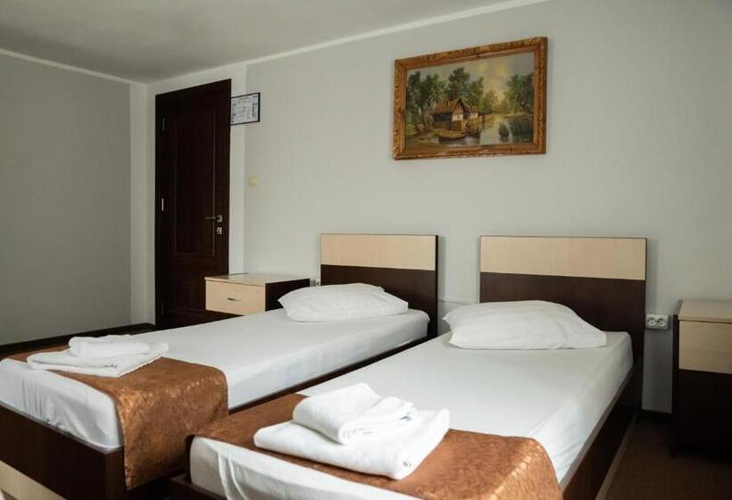 스탠다드 룸, Pensiunea Lido Moisei