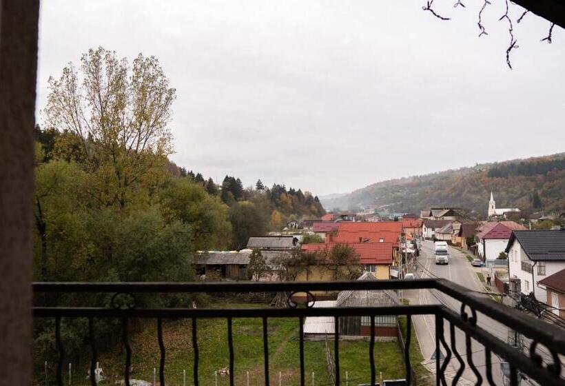 스탠다드 싱글 룸, Pensiunea Lido Moisei