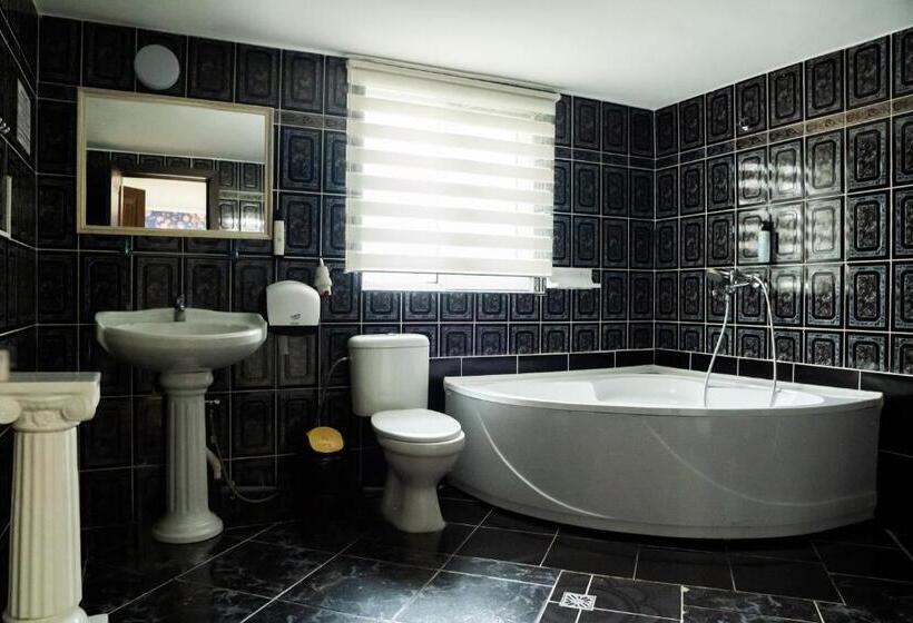 디럭스 룸 킹사이즈 침대, Pensiunea Lido Moisei