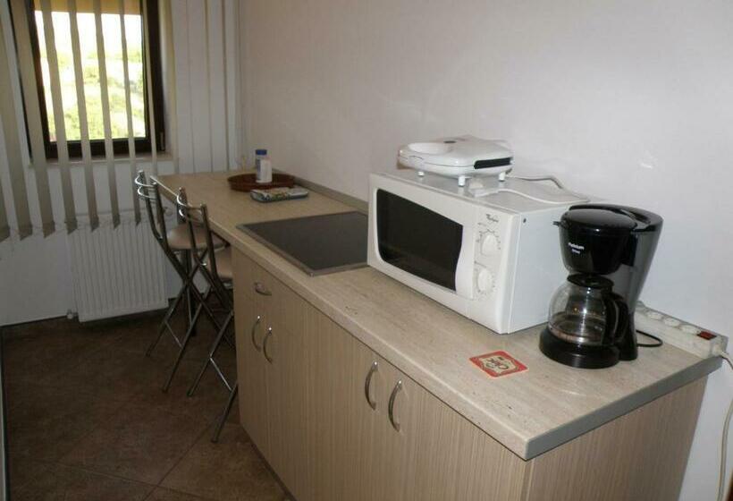 اتاق استاندارد با بالکن, Pensiunea Neredy