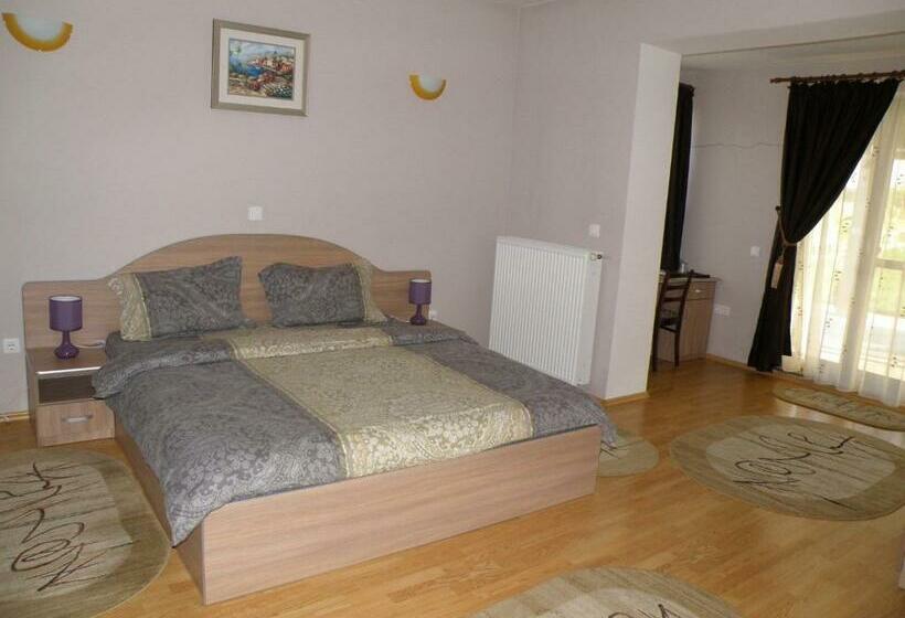 اتاق سوپریور, Pensiunea Neredy