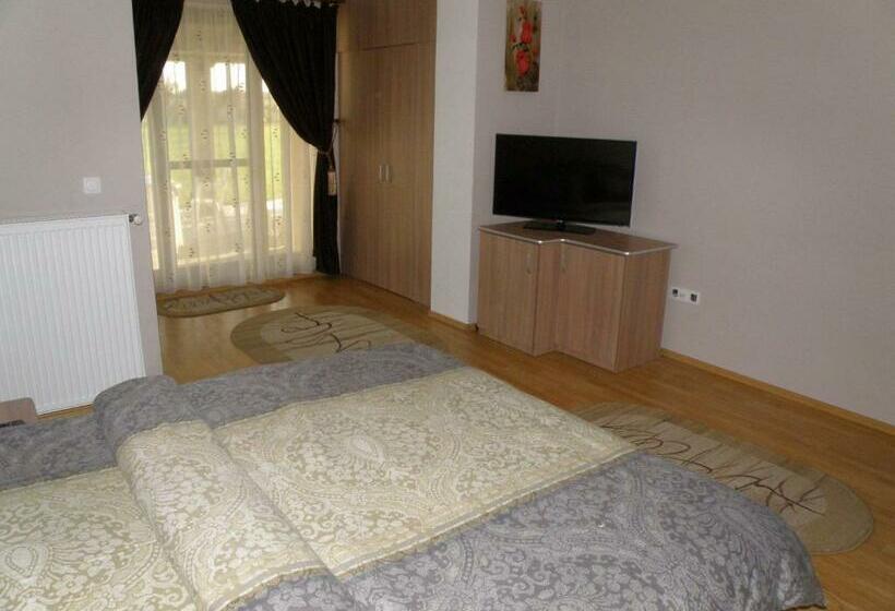 اتاق سوپریور, Pensiunea Neredy