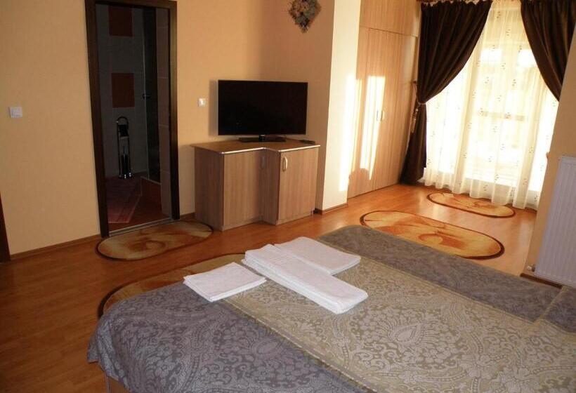 اتاق سوپریور, Pensiunea Neredy